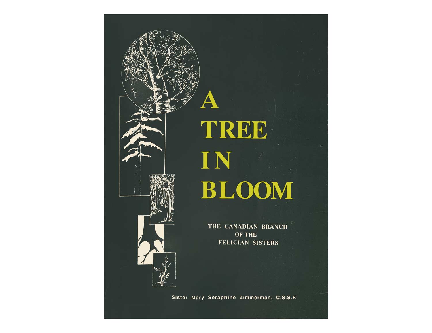 Felician History Book