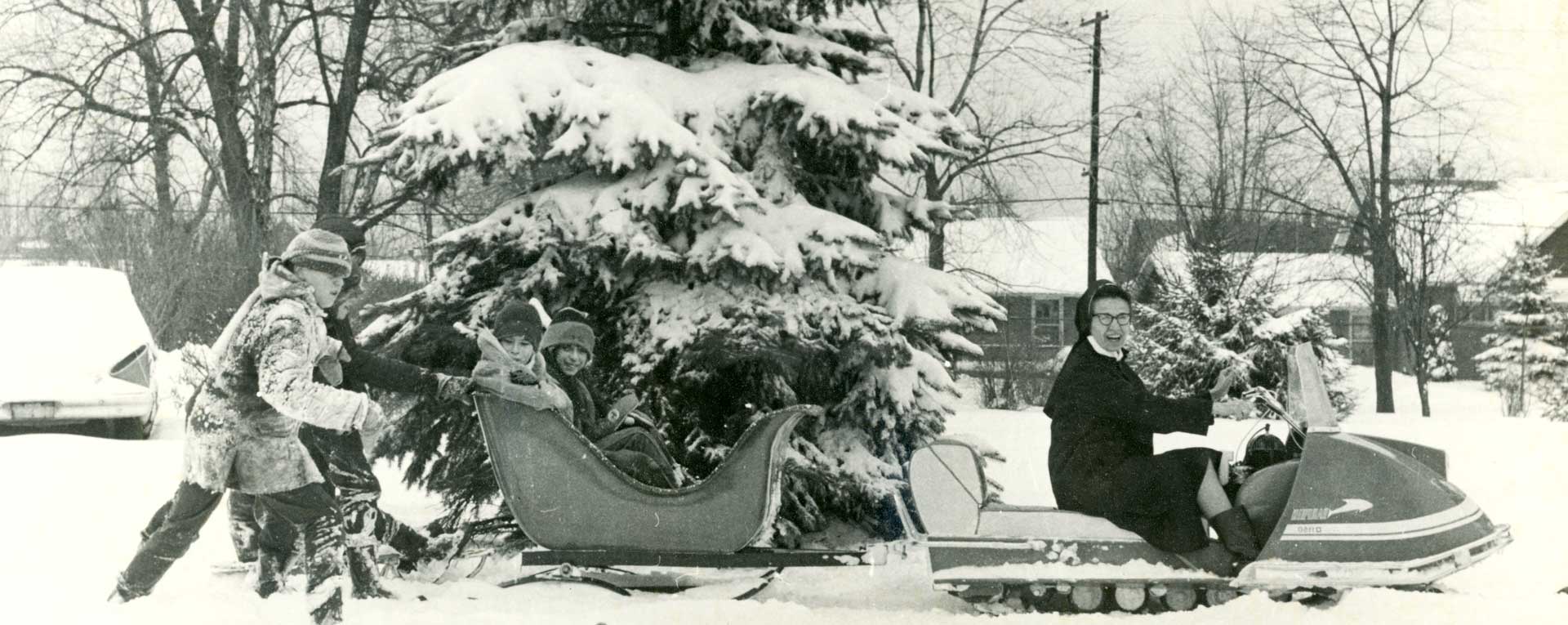 Immaculate Heart of Mary