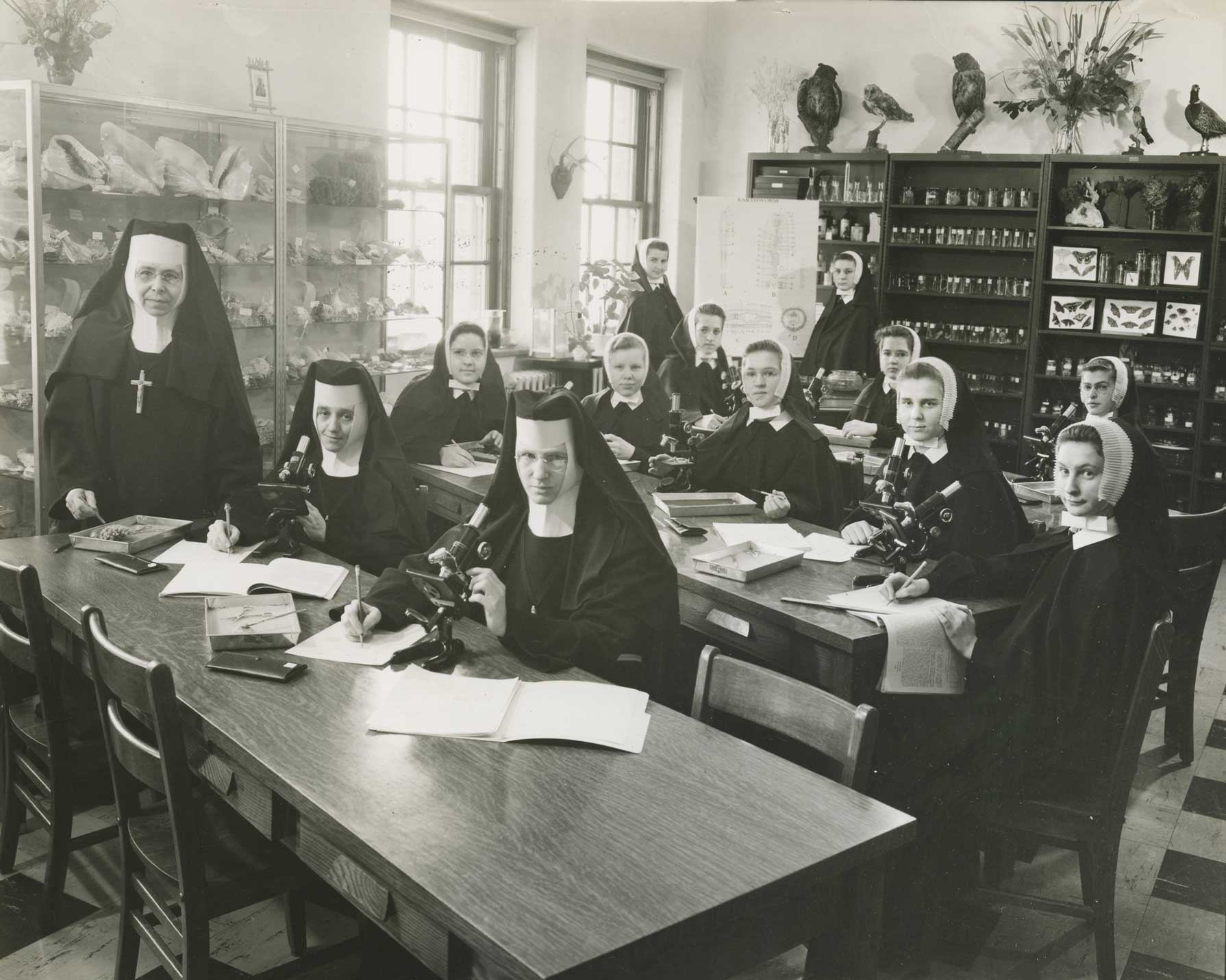 Madonna University Founded